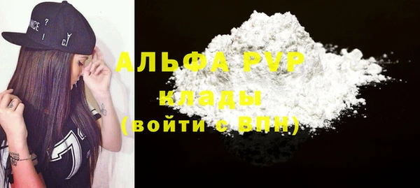 шишки Инта