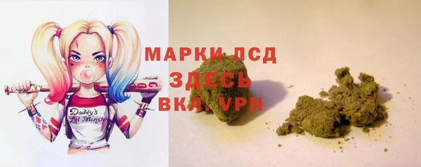 шишки Инта
