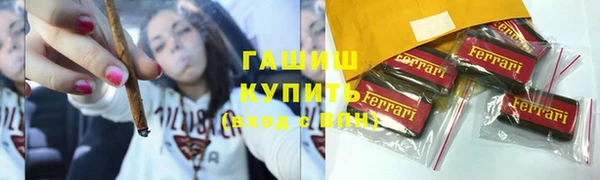 шишки Инта
