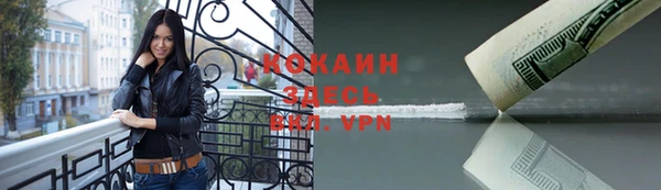 шишки Инта