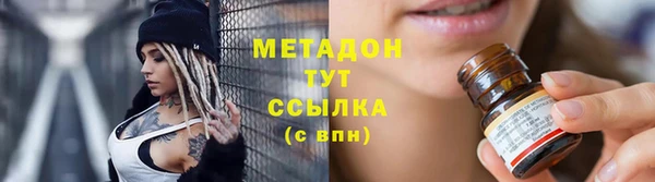 шишки Инта