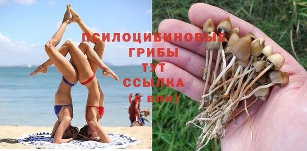 MDMA Premium VHQ Инсар
