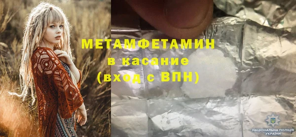 шишки Инта