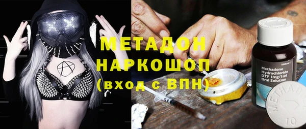 шишки Инта