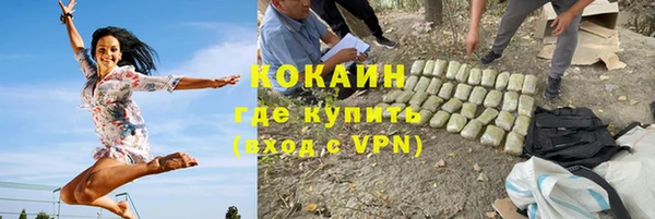 шишки Инта