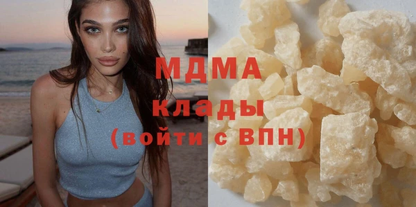 шишки Инта