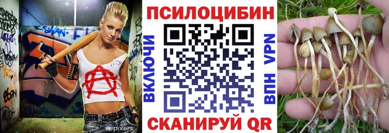 Купить  Сусуман  Псилоцибиновые грибы Magic Shrooms 